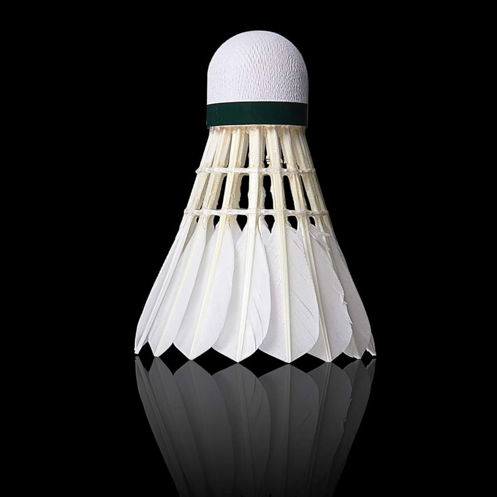 Amazon.com : KEVENZ Goose Feather Badminton Shuttlecocks